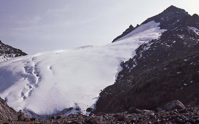 WT 1400 220-20 Kenya.jpg